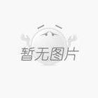 無刷減速剎車電機TCL2838-B-PG28